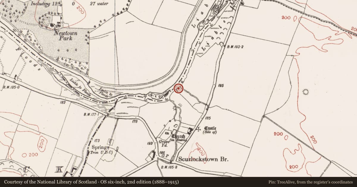 Ordnance Survey six-inch map, 2nd edition (1888–1915) covering the location of Burial, Scurlockstown, County Meath, with a pin at the register's coordinates