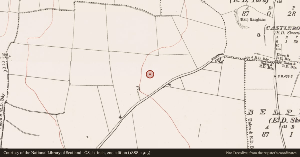 Ordnance Survey six-inch map, 2nd edition (1888–1915) covering the location of Enclosure, Odder, County Meath, with a pin at the register's coordinates