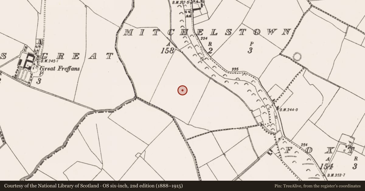 Ordnance Survey six-inch map, 2nd edition (1888–1915) covering the location of Ring-ditch, Mitchelstown, County Meath, with a pin at the register's coordinates