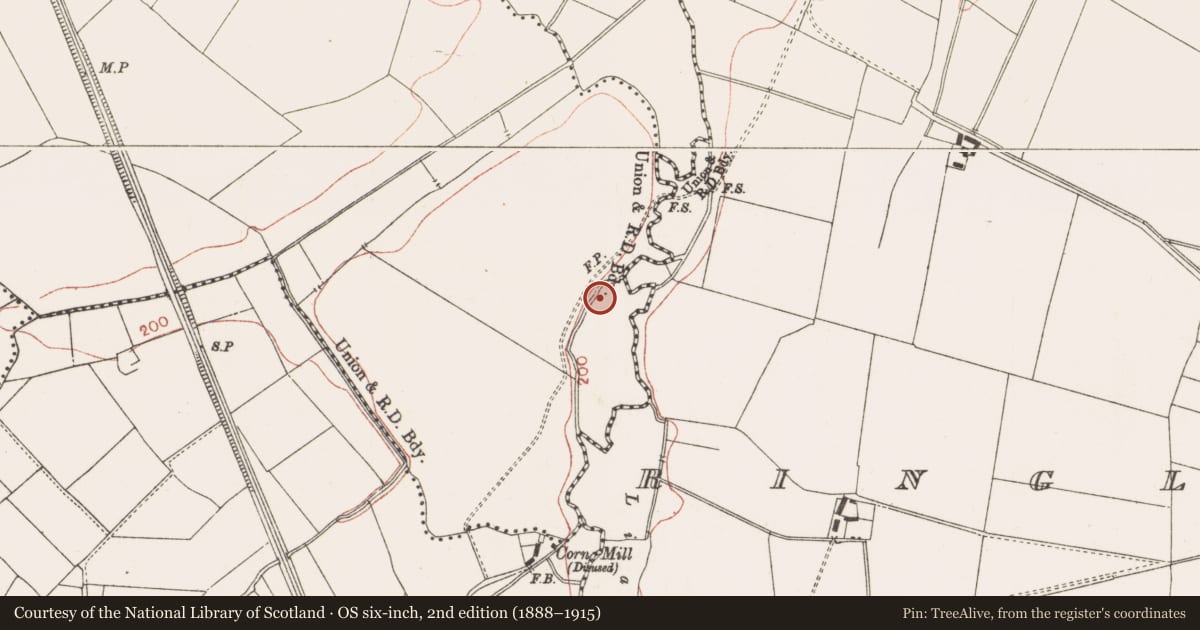 Ordnance Survey six-inch map, 2nd edition (1888–1915) covering the location of Burnt mound, Balreask, County Meath, with a pin at the register's coordinates