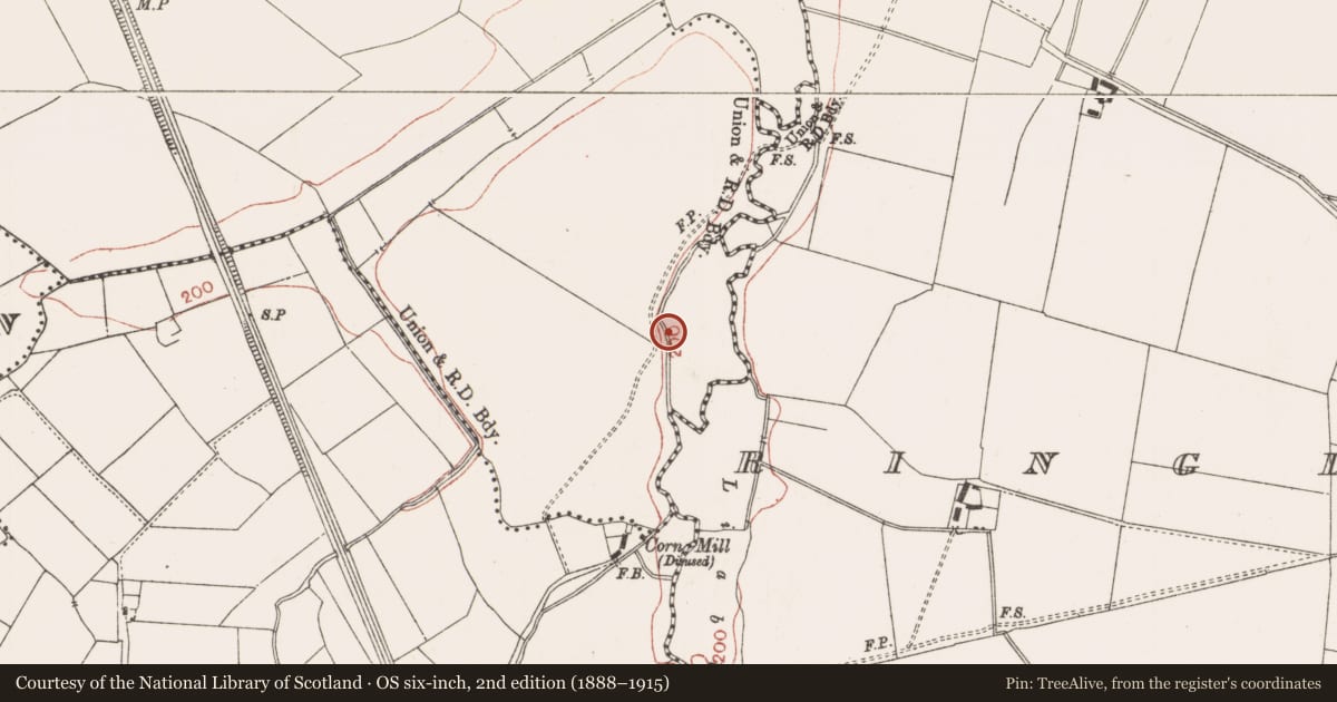 Ordnance Survey six-inch map, 2nd edition (1888–1915) covering the location of Fulacht fia, Balreask, County Meath, with a pin at the register's coordinates