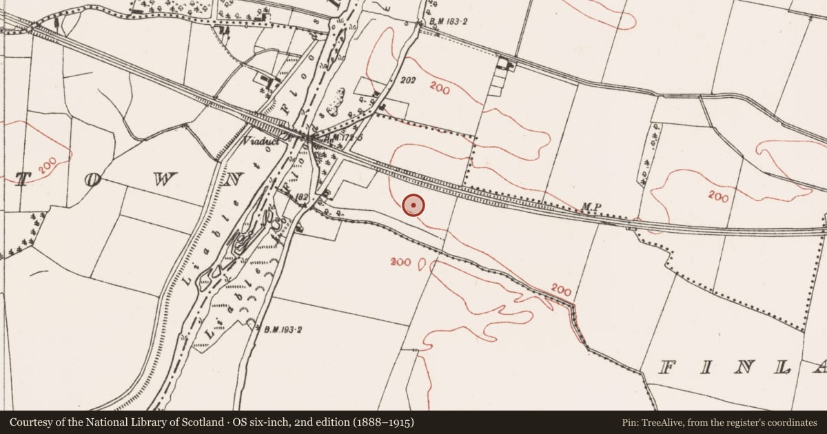 Ordnance Survey six-inch map, 2nd edition (1888–1915) covering the location of Ring-ditch, Finlaghtown Great, County Meath, with a pin at the register's coordinates