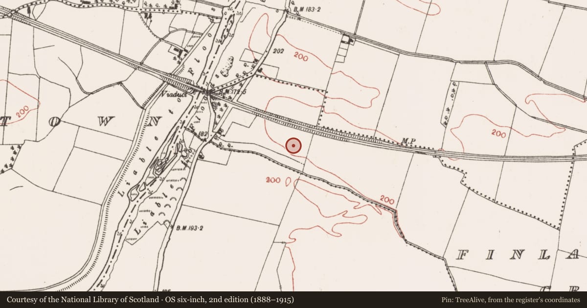 Ordnance Survey six-inch map, 2nd edition (1888–1915) covering the location of Ring-ditch, Finlaghtown Great, County Meath, with a pin at the register's coordinates