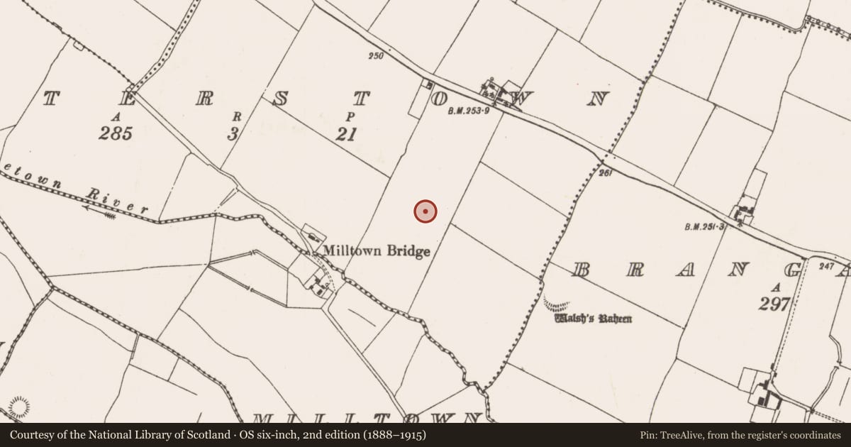 Ordnance Survey six-inch map, 2nd edition (1888–1915) covering the location of Barrow - embanked barrow, Walterstown, County Meath, with a pin at the register's coordinates