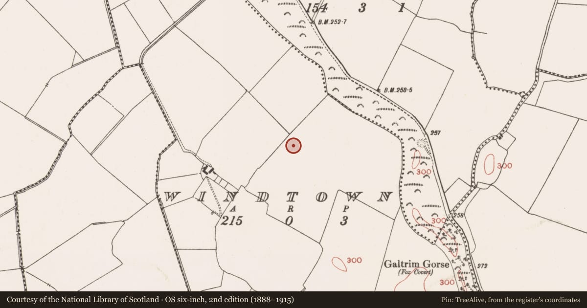 Ordnance Survey six-inch map, 2nd edition (1888–1915) covering the location of Enclosure, Windtown, County Meath, with a pin at the register's coordinates