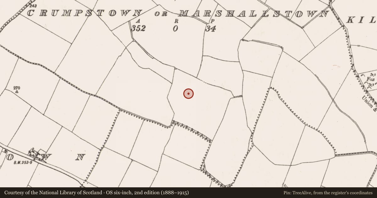 Ordnance Survey six-inch map, 2nd edition (1888–1915) covering the location of Field system, Crumpstown Or Marshallstown, County Meath, with a pin at the register's coordinates