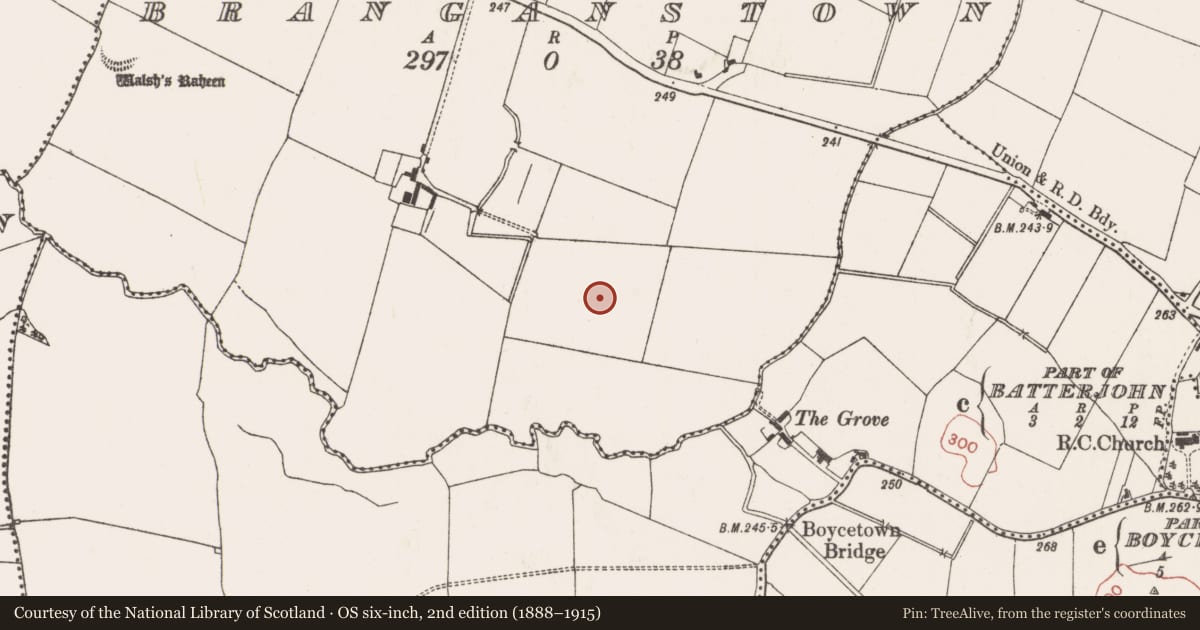 Ordnance Survey six-inch map, 2nd edition (1888–1915) covering the location of Ring-ditch, Branganstown, County Meath, with a pin at the register's coordinates
