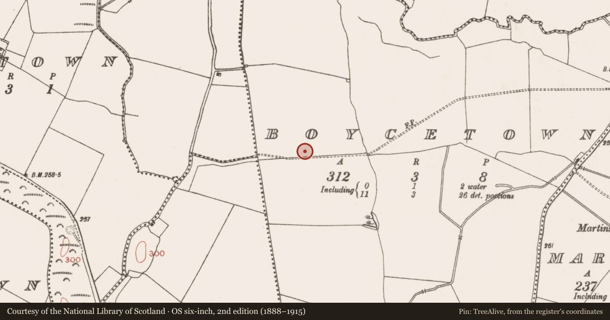 Ordnance Survey six-inch map, 2nd edition (1888–1915) covering the location of Ring-ditch, Boycetown, County Meath, with a pin at the register's coordinates