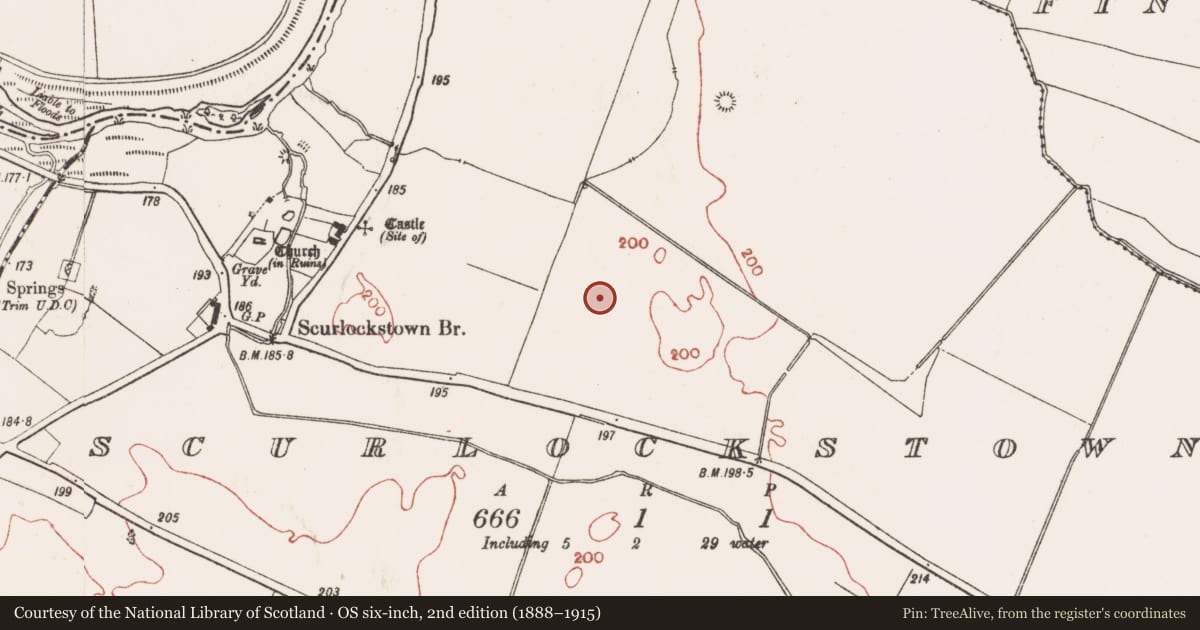 Ordnance Survey six-inch map, 2nd edition (1888–1915) covering the location of Field system, Scurlockstown, County Meath, with a pin at the register's coordinates