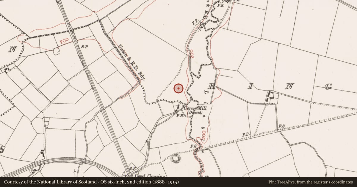 Ordnance Survey six-inch map, 2nd edition (1888–1915) covering the location of Enclosure, Balreask, County Meath, with a pin at the register's coordinates
