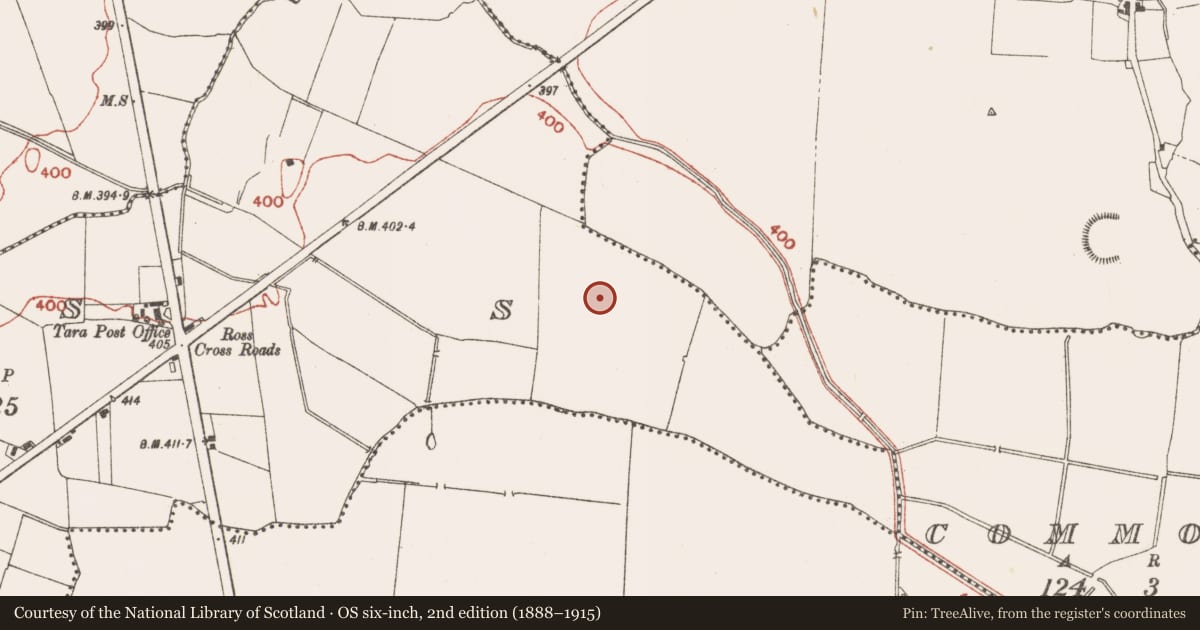 Ordnance Survey six-inch map, 2nd edition (1888–1915) covering the location of Hut site, Ross (Skreen By., Skreen Par.), County Meath, with a pin at the register's coordinates