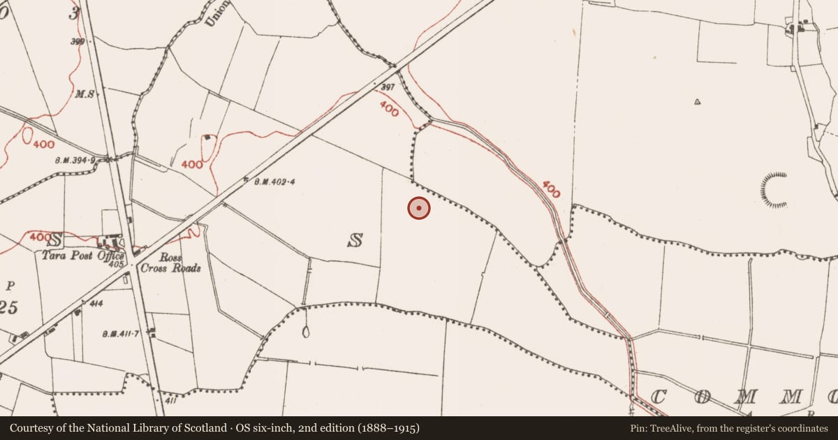 Ordnance Survey six-inch map, 2nd edition (1888–1915) covering the location of Kiln - corn-drying, Ross (Skreen By., Skreen Par.), County Meath, with a pin at the register's coordinates