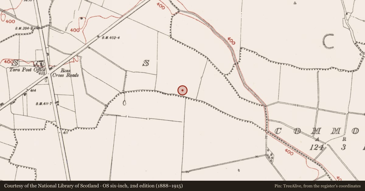 Ordnance Survey six-inch map, 2nd edition (1888–1915) covering the location of Field system, County Meath, with a pin at the register's coordinates
