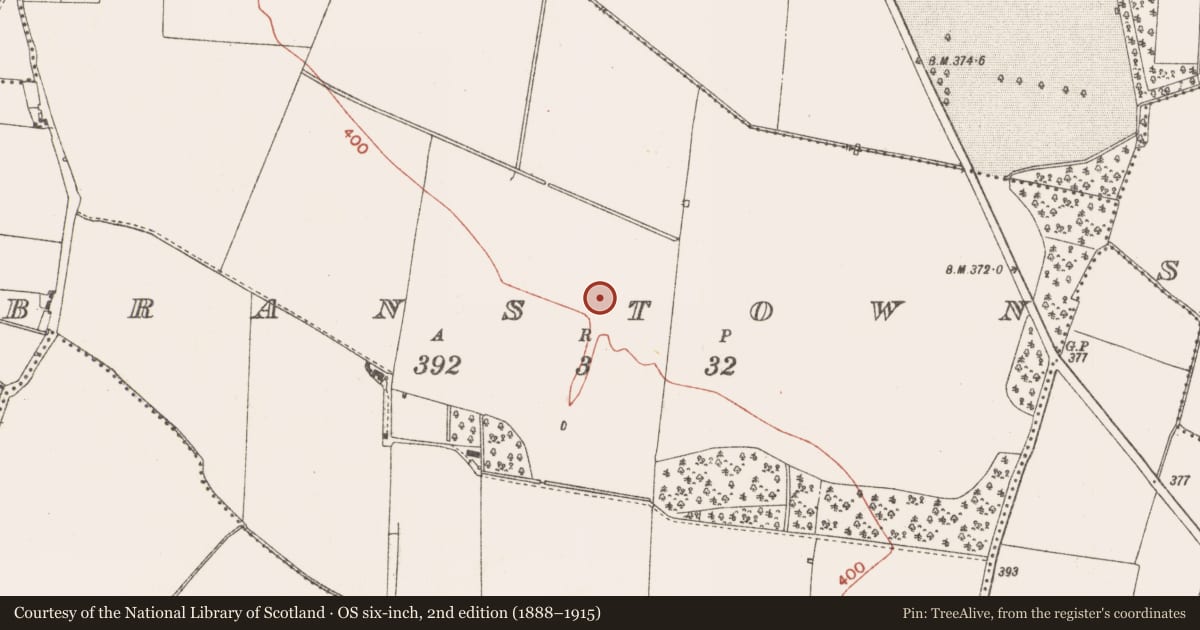 Ordnance Survey six-inch map, 2nd edition (1888–1915) covering the location of Field system, Branstown, County Meath, with a pin at the register's coordinates