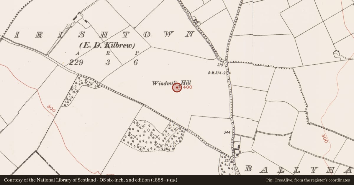 Ordnance Survey six-inch map, 2nd edition (1888–1915) covering the location of Henge, Irishtown (Skreen By., Kilmoon Par.), County Meath, with a pin at the register's coordinates