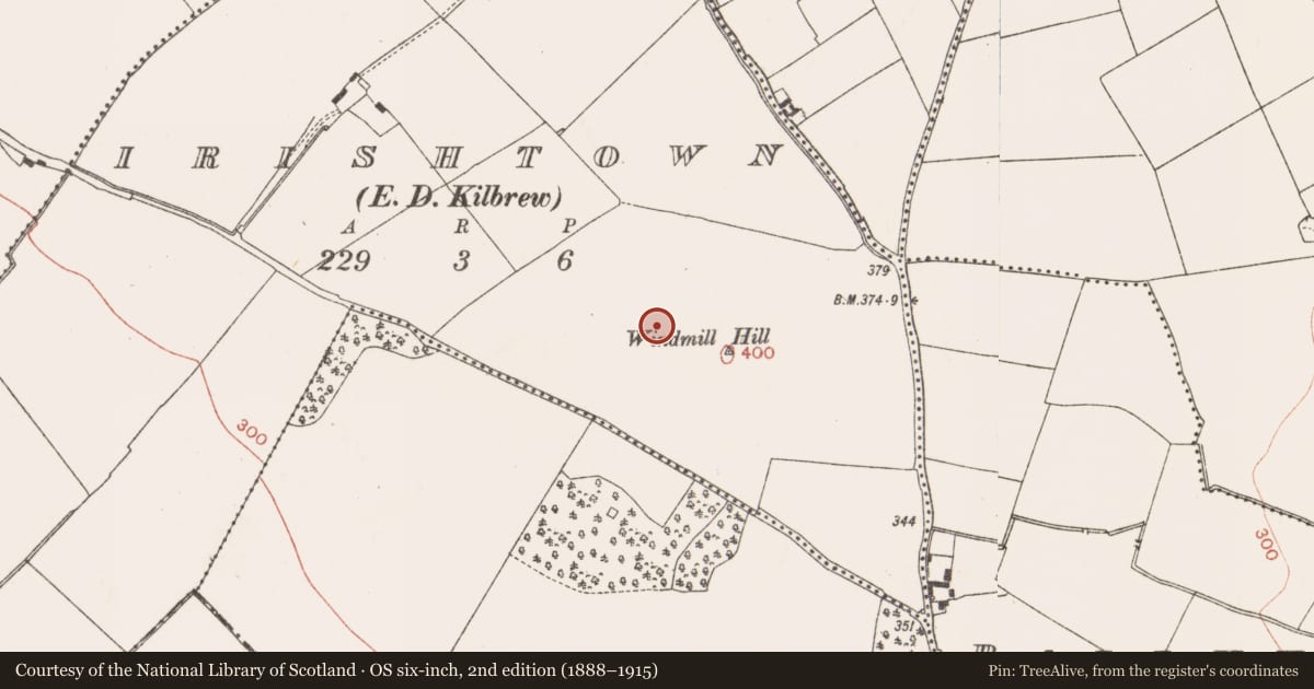 Ordnance Survey six-inch map, 2nd edition (1888–1915) covering the location of Enclosure, Irishtown (Skreen By., Kilmoon Par.), County Meath, with a pin at the register's coordinates