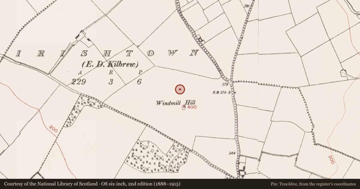 Ordnance Survey six-inch map, 2nd edition (1888–1915) covering the location of Enclosure, Irishtown (Skreen By., Kilmoon Par.), County Meath, with a pin at the register's coordinates