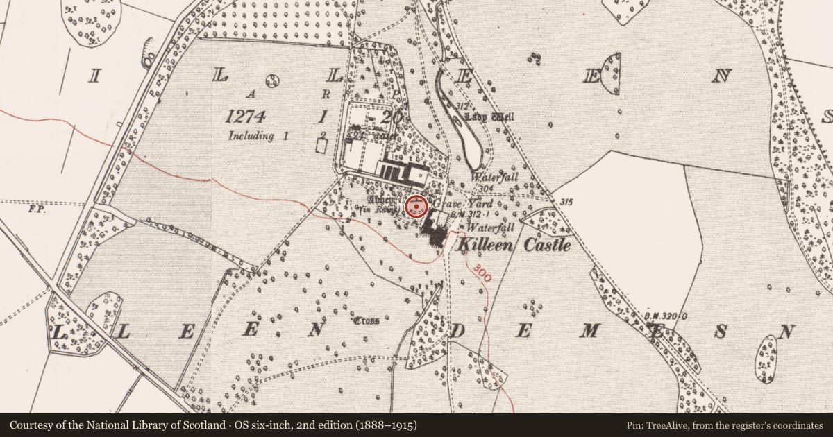 Ordnance Survey six-inch map, 2nd edition (1888–1915) covering the location of Church, Killeen, County Meath, with a pin at the register's coordinates