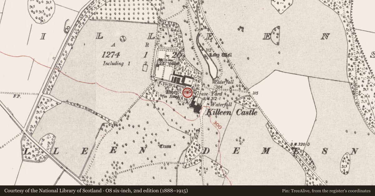 Ordnance Survey six-inch map, 2nd edition (1888–1915) covering the location of Cross - Churchyard cross, Killeen, County Meath, with a pin at the register's coordinates