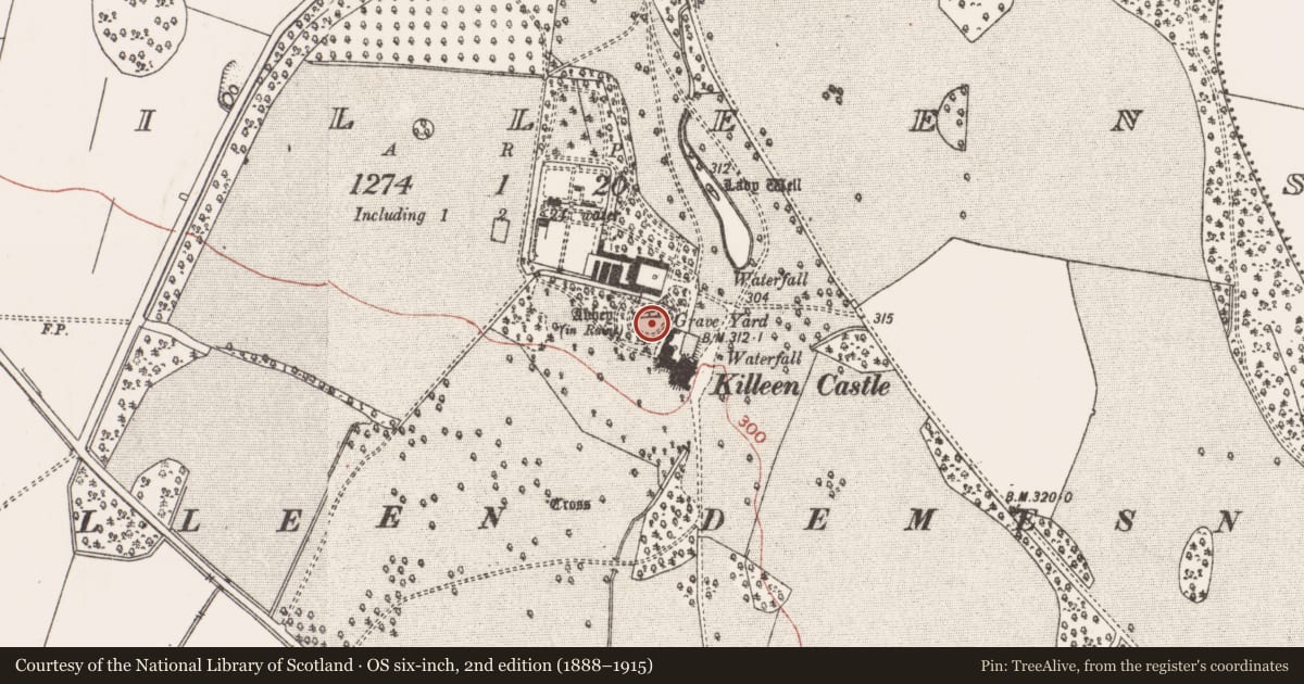 Ordnance Survey six-inch map, 2nd edition (1888–1915) covering the location of Graveslab, Killeen, County Meath, with a pin at the register's coordinates