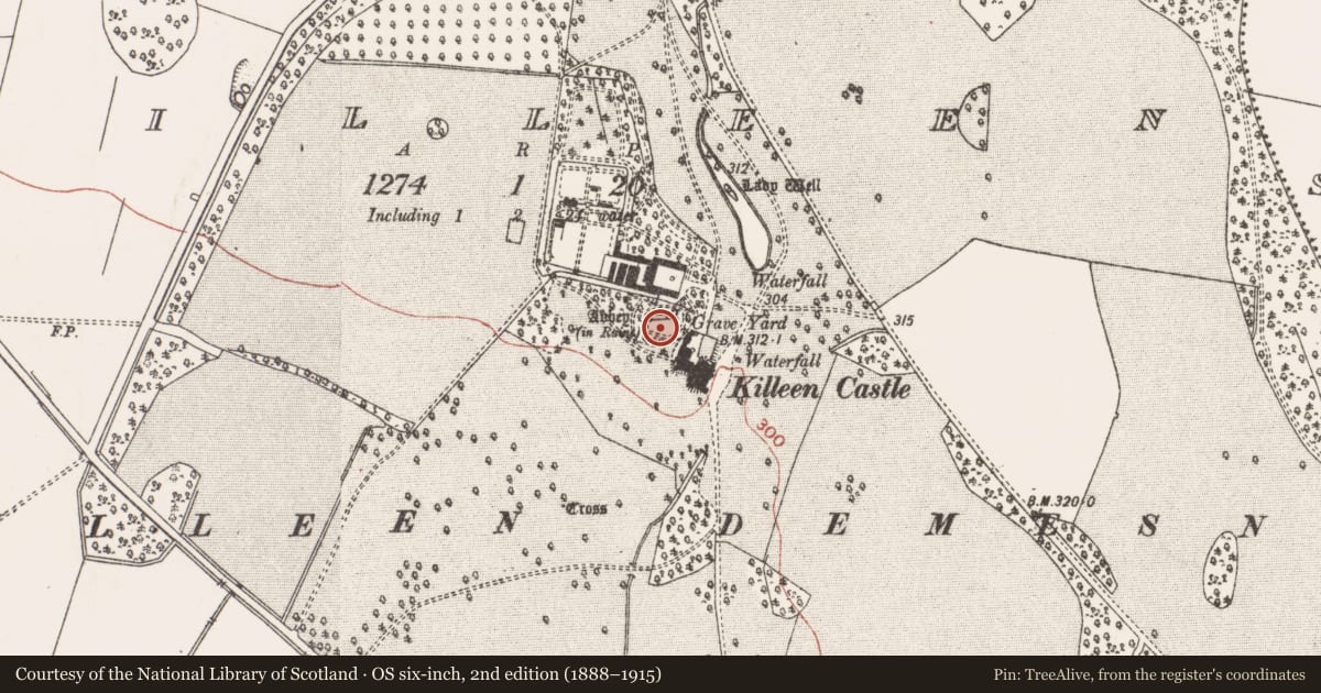 Ordnance Survey six-inch map, 2nd edition (1888–1915) covering the location of Graveslab, Killeen, County Meath, with a pin at the register's coordinates