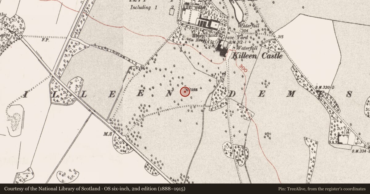 Ordnance Survey six-inch map, 2nd edition (1888–1915) covering the location of Cross - Wayside cross, Killeen, County Meath, with a pin at the register's coordinates