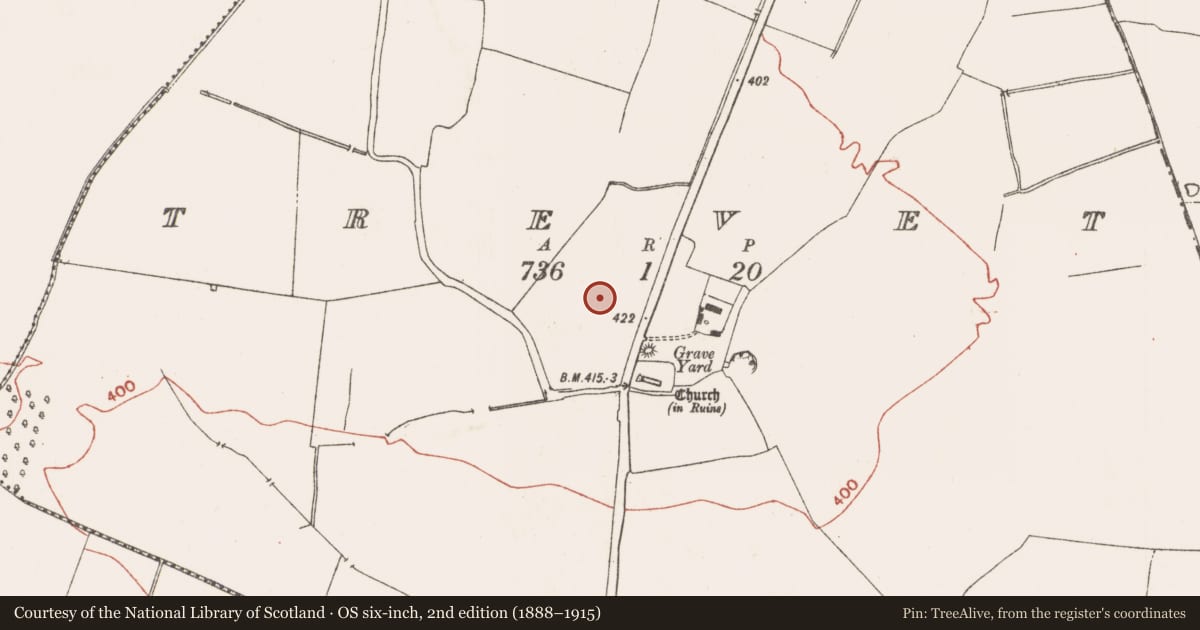 Ordnance Survey six-inch map, 2nd edition (1888–1915) covering the location of Field system, Trevet, County Meath, with a pin at the register's coordinates
