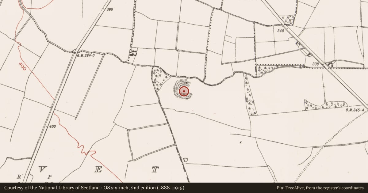 Ordnance Survey six-inch map, 2nd edition (1888–1915) covering the location of Ringfort - rath, Trevet Grange, County Meath, with a pin at the register's coordinates
