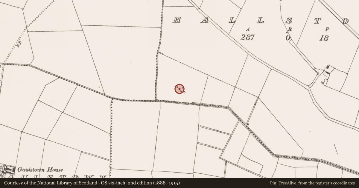 Ordnance Survey six-inch map, 2nd edition (1888–1915) covering the location of Earthwork, Hallstown, County Meath, with a pin at the register's coordinates