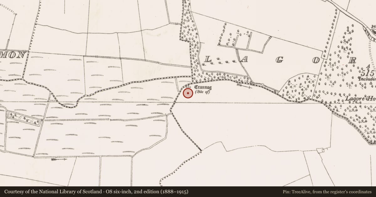 Ordnance Survey six-inch map, 2nd edition (1888–1915) covering the location of Crannog, Lagore Big, County Meath, with a pin at the register's coordinates