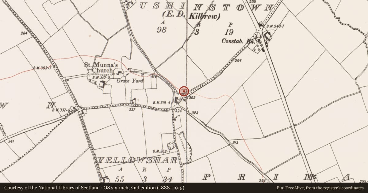 Ordnance Survey six-inch map, 2nd edition (1888–1915) covering the location of Burial ground, Cushinstown (Skreen By., Kilmoon Par.), County Meath, with a pin at the register's coordinates