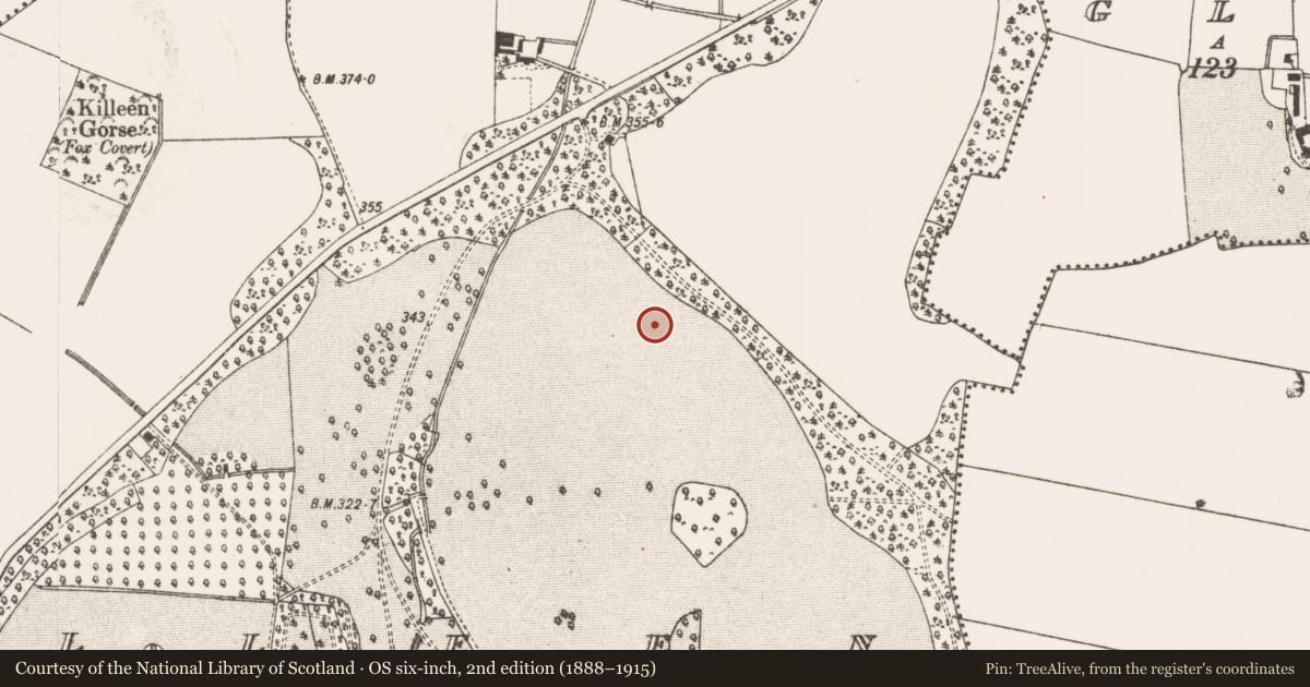 Ordnance Survey six-inch map, 2nd edition (1888–1915) covering the location of Field system, Killeen, County Meath, with a pin at the register's coordinates