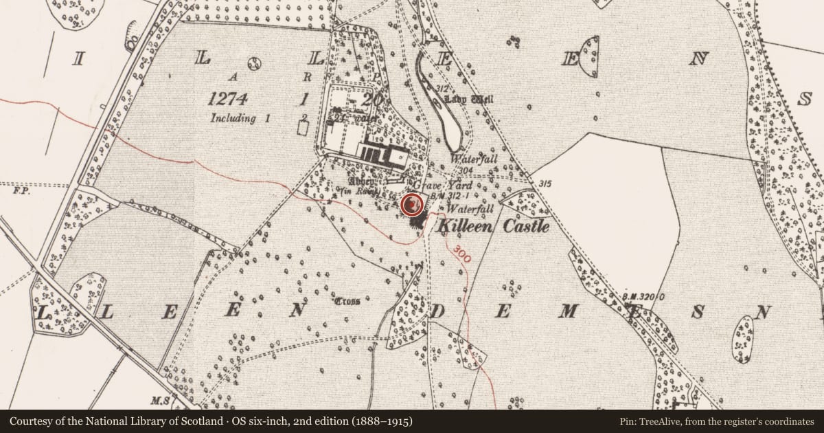 Ordnance Survey six-inch map, 2nd edition (1888–1915) covering the location of Castle - ringwork and bailey, Killeen, County Meath, with a pin at the register's coordinates