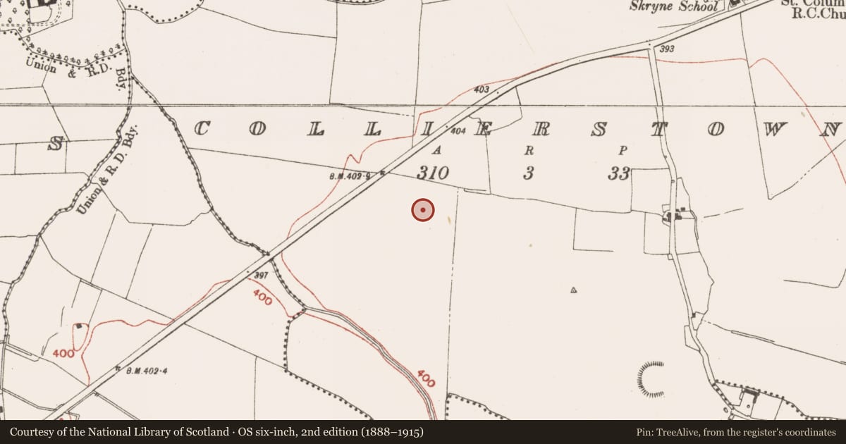 Ordnance Survey six-inch map, 2nd edition (1888–1915) covering the location of Ring-ditch, Collierstown, County Meath, with a pin at the register's coordinates