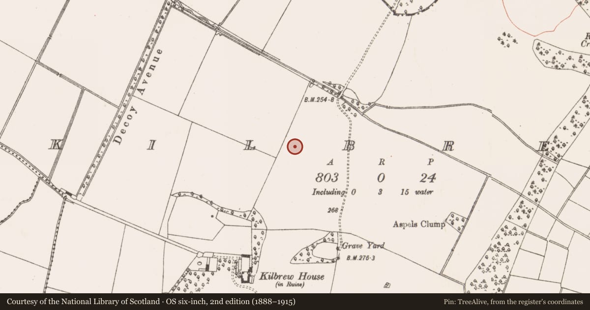 Ordnance Survey six-inch map, 2nd edition (1888–1915) covering the location of Ring-ditch, Kilbrew, County Meath, with a pin at the register's coordinates