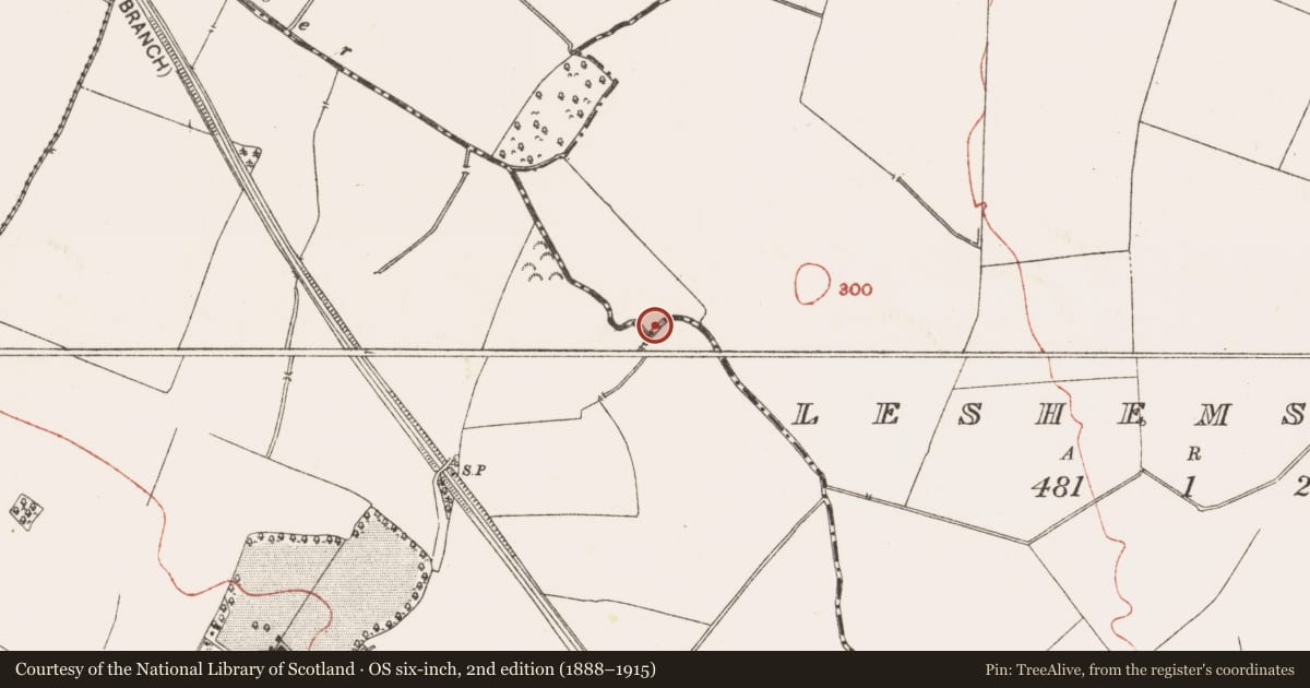 Ordnance Survey six-inch map, 2nd edition (1888–1915) covering the location of Burial, Leshemstown, County Meath, with a pin at the register's coordinates