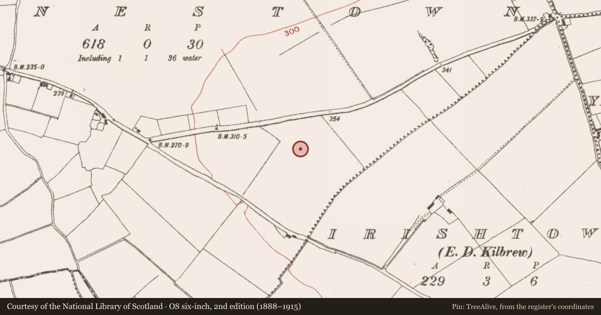 Ordnance Survey six-inch map, 2nd edition (1888–1915) covering the location of Ring-ditch, Irishtown (Skreen By., Kilmoon Par.), County Meath, with a pin at the register's coordinates