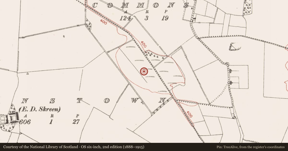 Ordnance Survey six-inch map, 2nd edition (1888–1915) covering the location of Post row - peatland, Clowanstown, County Meath, with a pin at the register's coordinates