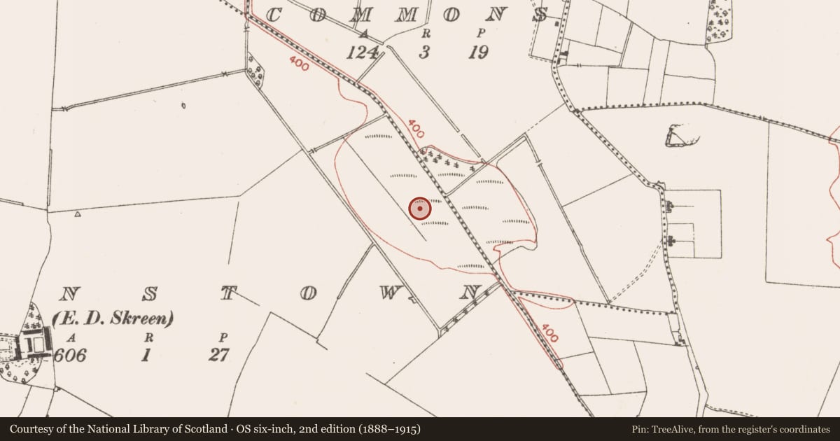 Ordnance Survey six-inch map, 2nd edition (1888–1915) covering the location of Weir - fish, Clowanstown, County Meath, with a pin at the register's coordinates