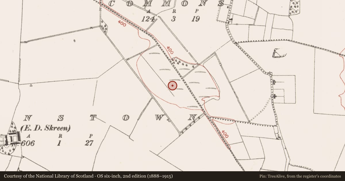 Ordnance Survey six-inch map, 2nd edition (1888–1915) covering the location of Platform - peatland, Clowanstown, County Meath, with a pin at the register's coordinates