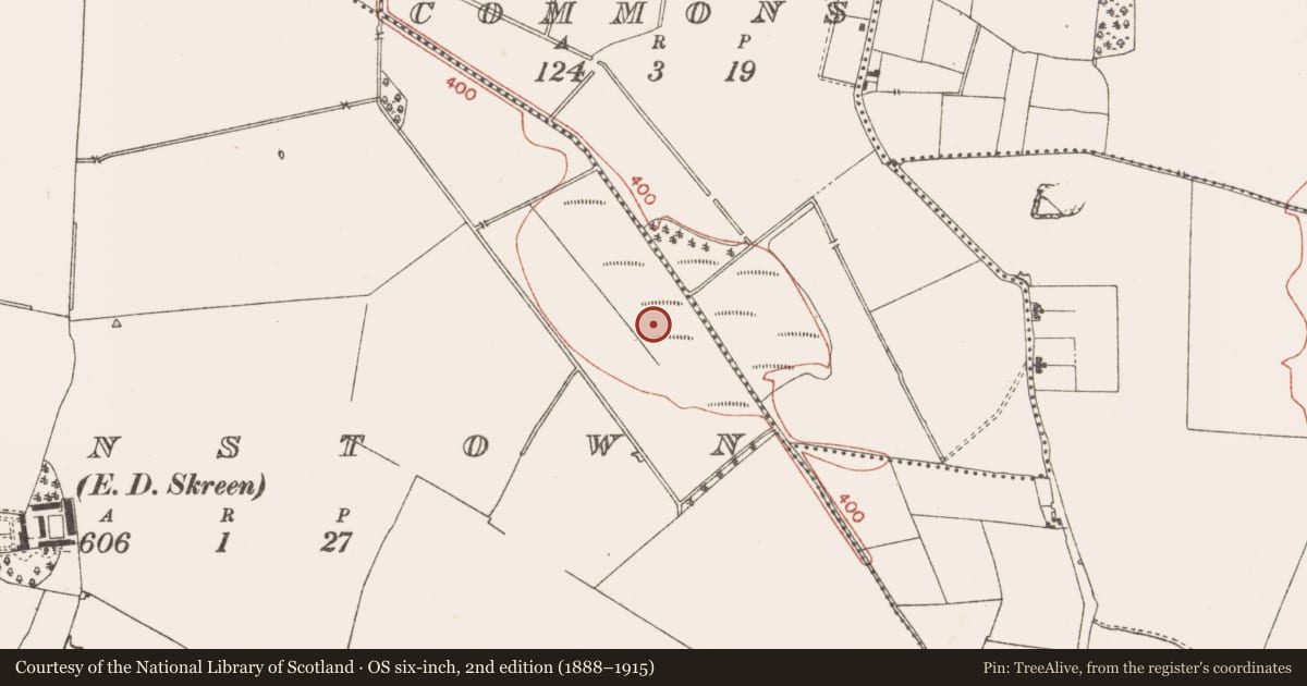 Ordnance Survey six-inch map, 2nd edition (1888–1915) covering the location of Mound, Clowanstown, County Meath, with a pin at the register's coordinates