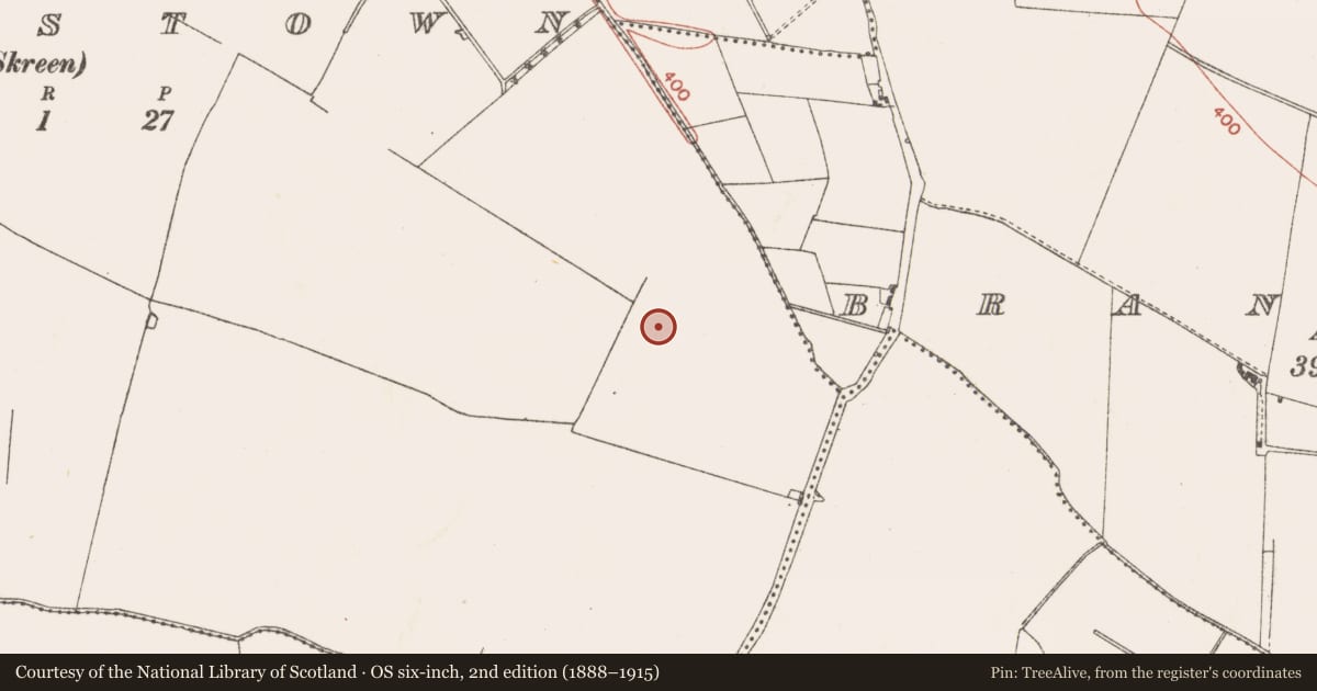 Ordnance Survey six-inch map, 2nd edition (1888–1915) covering the location of Burnt mound, Clowanstown, County Meath, with a pin at the register's coordinates