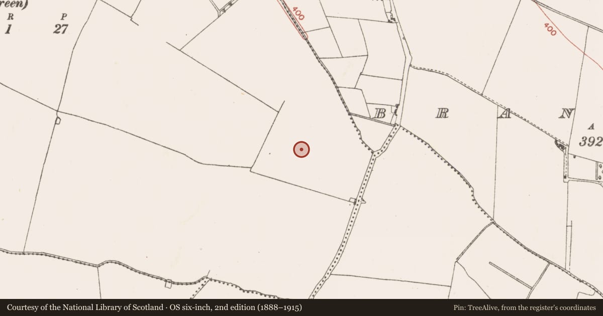Ordnance Survey six-inch map, 2nd edition (1888–1915) covering the location of Fulacht fia, Clowanstown, County Meath, with a pin at the register's coordinates