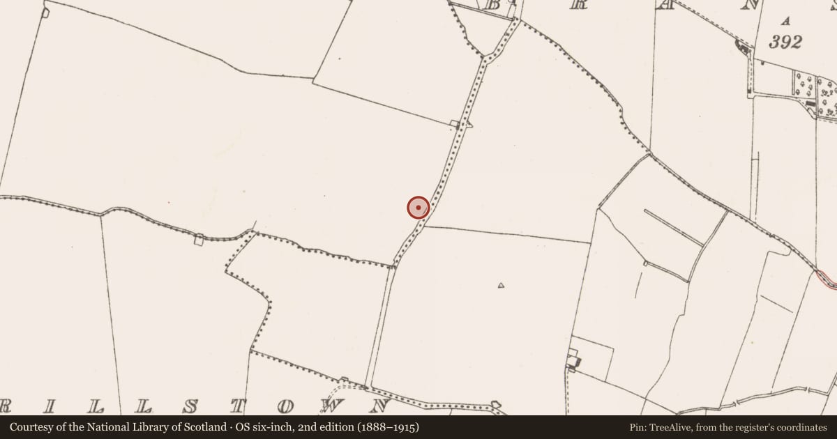 Ordnance Survey six-inch map, 2nd edition (1888–1915) covering the location of Hearth, Clowanstown, County Meath, with a pin at the register's coordinates