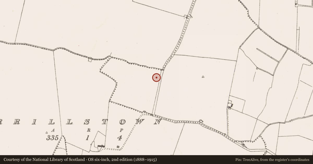 Ordnance Survey six-inch map, 2nd edition (1888–1915) covering the location of Road - road/trackway, Trevet, County Meath, with a pin at the register's coordinates