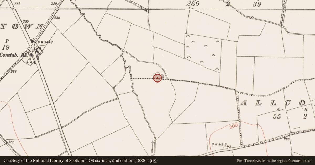 Ordnance Survey six-inch map, 2nd edition (1888–1915) covering the location of Moated site, Curraghtown, County Meath, with a pin at the register's coordinates