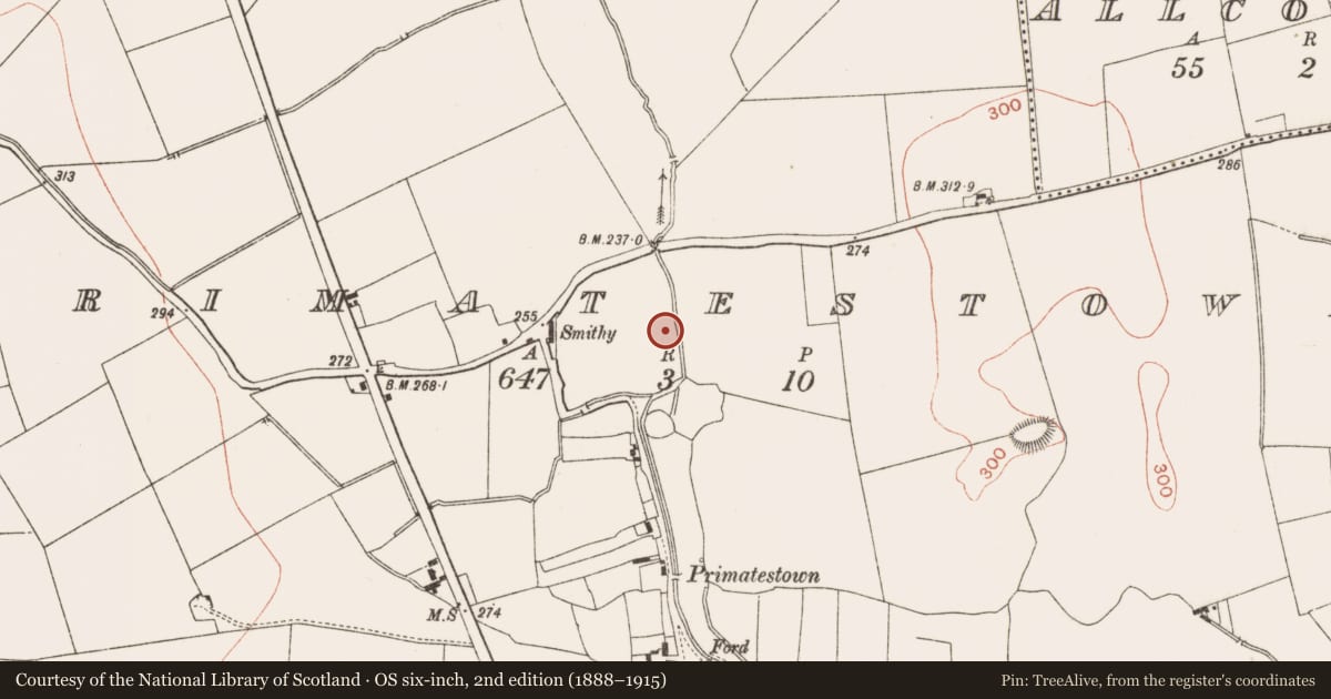 Ordnance Survey six-inch map, 2nd edition (1888–1915) covering the location of Mound, Primatestown, County Meath, with a pin at the register's coordinates