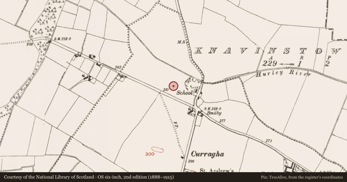 Ordnance Survey six-inch map, 2nd edition (1888–1915) covering the location of Field system, Crickstown, County Meath, with a pin at the register's coordinates