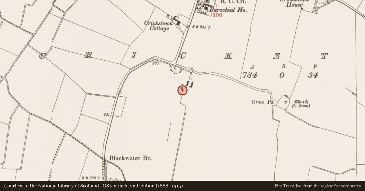 Ordnance Survey six-inch map, 2nd edition (1888–1915) covering the location of Castle - unclassified, Crickstown, County Meath, with a pin at the register's coordinates