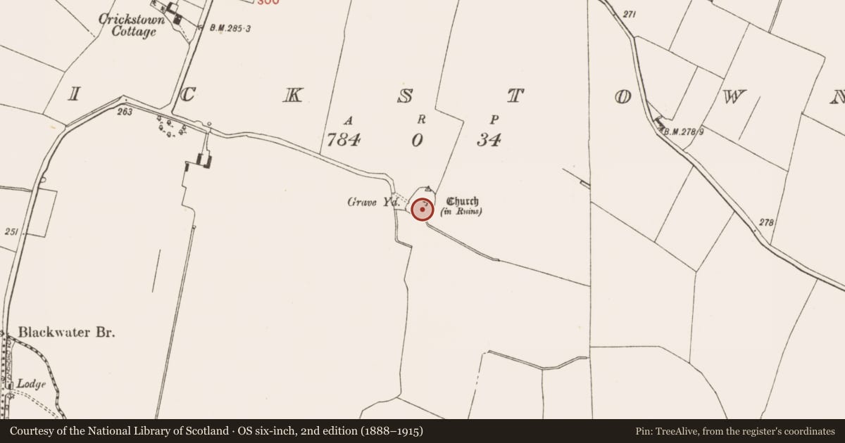 Ordnance Survey six-inch map, 2nd edition (1888–1915) covering the location of Church, Crickstown, County Meath, with a pin at the register's coordinates